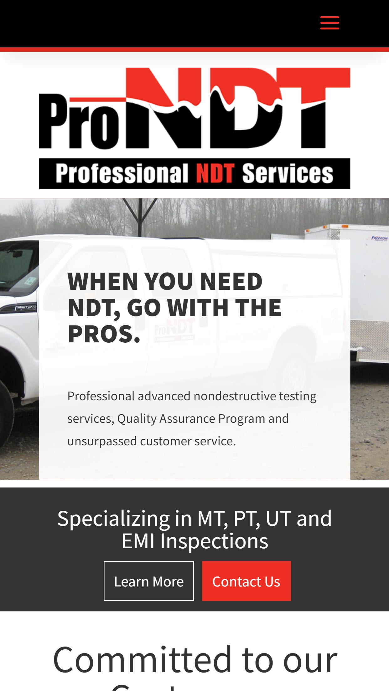 Pro Ndt Home Page Mockup Mobile View