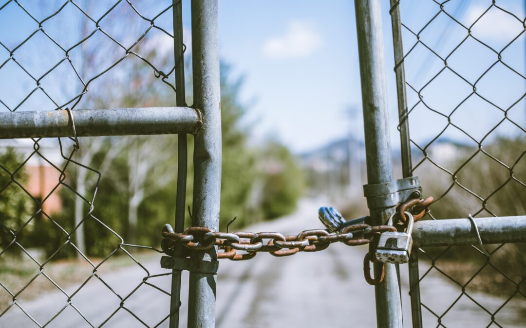 Creating a Link Within Your Content