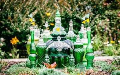 Photos And Updates And Trust Signals… Oh My!