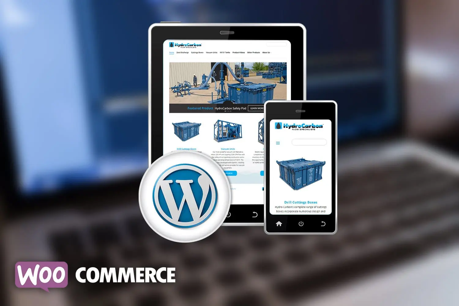 woocom Accessibe Interface
