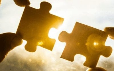 Our Favorite WordPress Plugins for Small Business Websites