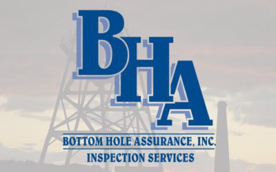 Bottom Hole Assurance