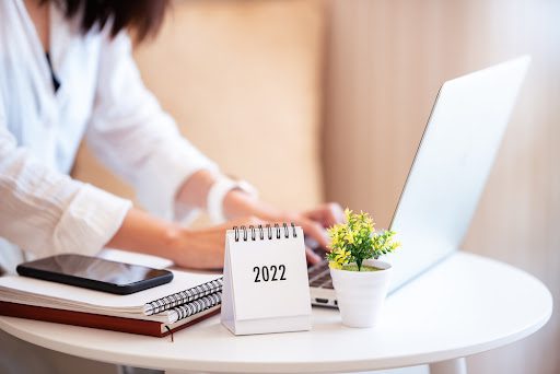 Woman Working on Website Goals Online In 2022