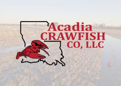 Acadia Crawfish