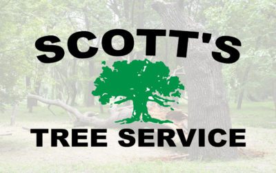 Scott’s Tree Service