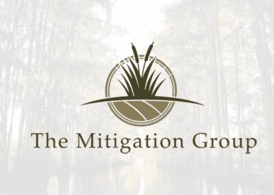 The Mitigation Group