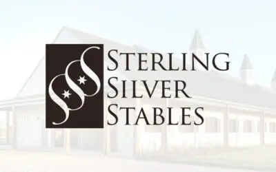 Sterling Silver Stables