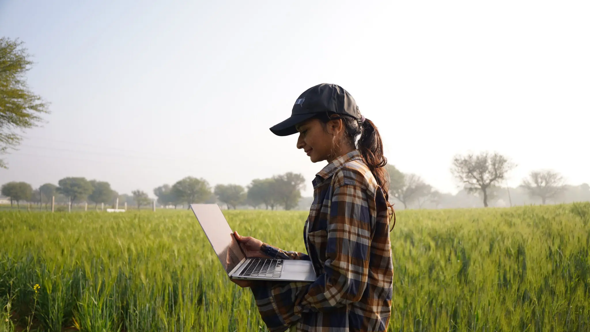 Young Woman Looking At Laptop Screen In The Middle Of Wheat Field. Business Lady Inspecting Concept, Sitting And Using Notebook. Female Farmer Wearing Cap In Middle Of Crop. A Calm, Joyful Girl Young Woman Looking At Laptop Screen In The Middle Of Wheat Field. Business Lady Inspecting Concept, Sitting And Using Notebook. Female Farmer Wearing Cap In Middle Of Crop. A Calm, Joyful Girl
